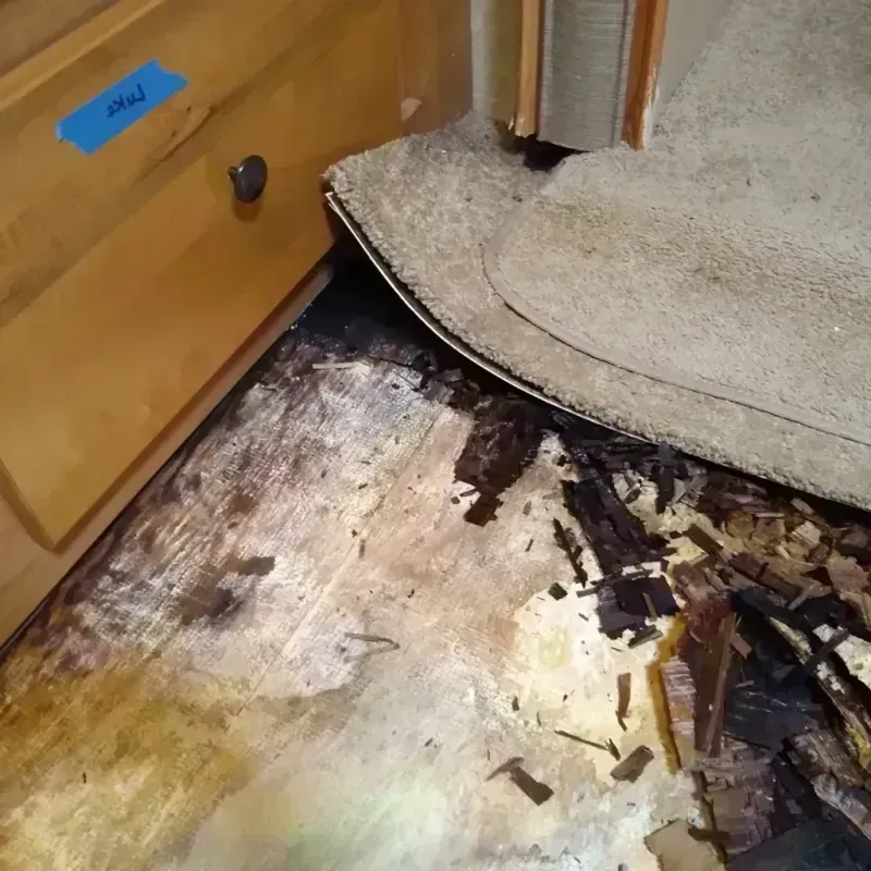 Wood Floor Water Damage in Germantown, IL